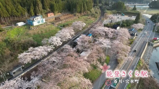石川・穴水町に春 能登さくら駅に震災前と変わらぬ「桜のトンネル」|TBS NEWS DIG