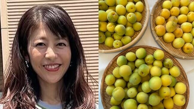 【 白石美帆 】　「う〜ん、梅の良い香り　今年も梅仕事の季節がやってきた！」　梅干しや梅シロップ作りを報告　【夫は元V6・長野博さん】|TBS NEWS DIG