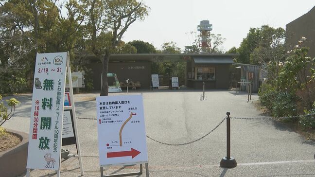 シロテテナガザル 一時飼育エリアから逃げ出す 職員がひっかかれ軽傷 生息環境展示の「ときわ動物園」 山口・宇部|TBS NEWS DIG