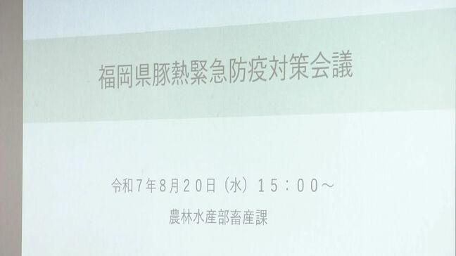 福岡県内で44年ぶりに豚熱発生　県が緊急対策会議|TBS NEWS DIG
