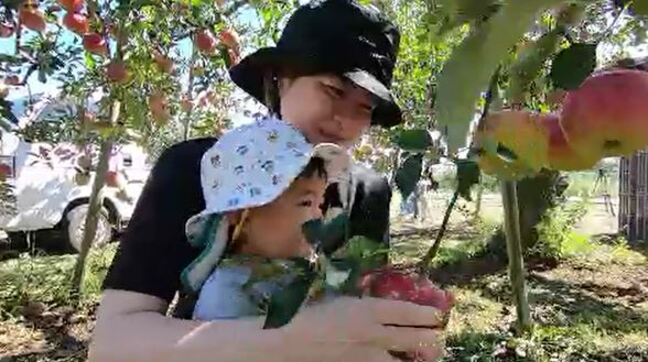 「絶対この地域を復興してやるという思いで…」5年前の台風19号災害・千曲川決壊で30cmの泥に覆われたリンゴ畑…女子会立ち上げやイベント企画も　女性農家の歩みと地域への思い　長野|TBS NEWS DIG