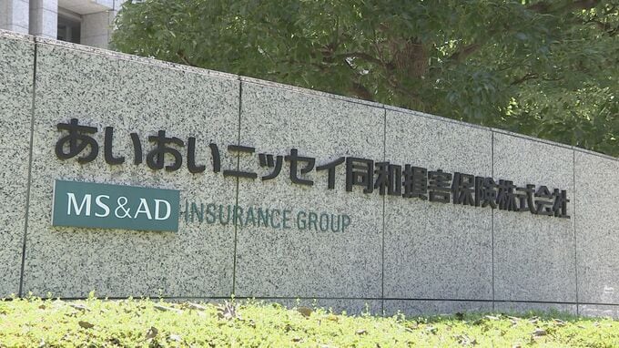 あいおいニッセイ同和損害保険　ジャニーズ事務所との広告　満期をもって終了|TBS NEWS DIG