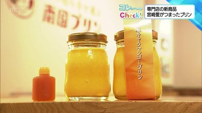 「宮崎から広めていきたい」宮崎への思いがつまったプリン専門店の新商品|TBS NEWS DIG