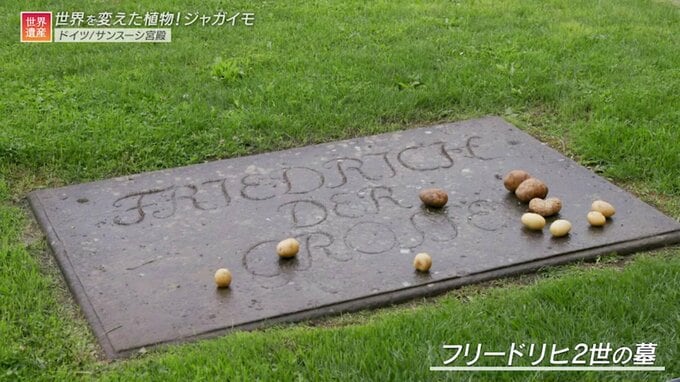 フリードリヒ大王の墓にジャガイモ！なぜこんなところにこんなものが･･･世界遺産で見つけた不思議なもの【世界遺産／サンスーシ宮殿（ドイツ）、高野山（日本）、北京の故宮（中国）】|TBS NEWS DIG