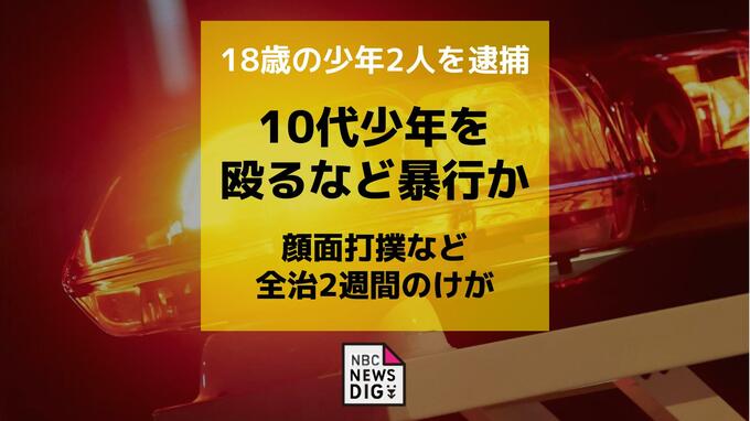18歳の少年2人を逮捕　10代少年を殴るなど暴行 顔面打撲など全治2週間のけが|TBS NEWS DIG
