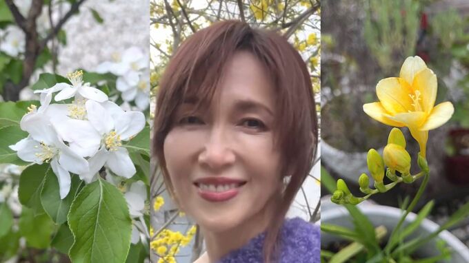 【工藤静香】　「自然の色の美しさ」「夕方の花の香りは落ち着く」　自宅でのガーデニング姿を公開|TBS NEWS DIG