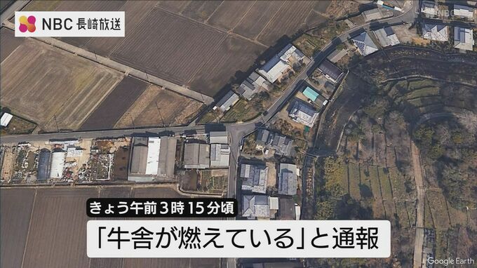 「牛舎が燃えている」未明の牛舎から出火　牛を外へ誘導していた男性が足に軽傷【長崎・諫早市】|TBS NEWS DIG