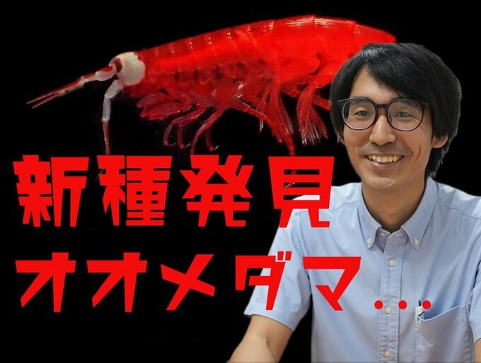 水深1200mに“大きな白い眼” 新種「オオメダマヨコエビ」発見の裏側…「名前がないと絶滅すら分からない」33歳研究者が「深海の小さな生き物」を追う理由|TBS NEWS DIG