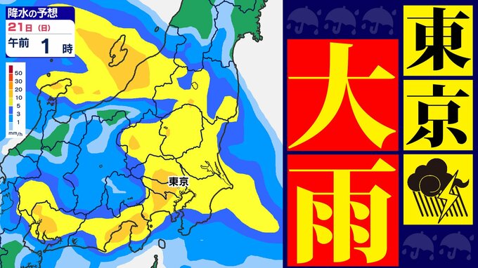 【東京首都圏】本降りの雨 気象庁「気象解説情報」大雨・落雷・降ひょうに注意【雨シミュレーション ／ 週間予報】東京・神奈川・埼玉・千葉・群馬・栃木・茨城・山梨・長野  「雨がひどいときは無理せず雨やどり」　|　鹿児島のニュース｜MBC NEWS｜南日本放送
