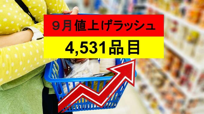 また値上げ…9月に4,531品目へ　何が上がる？ストック推奨リスト|TBS NEWS DIG