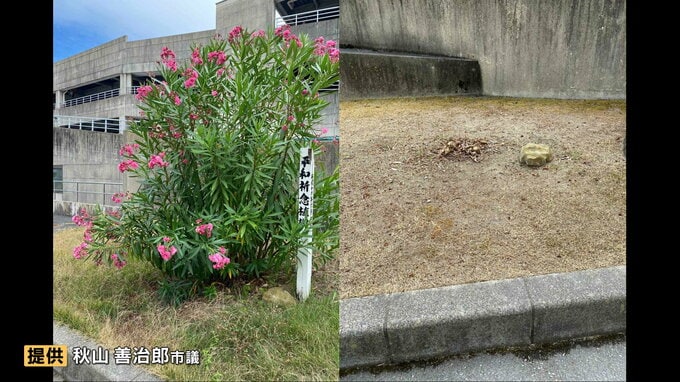 「何とお詫びしてよいか」被爆地・広島から寄贈された平和祈念のキョウチクトウを誤って伐採 祈念植樹の標柱も一時撤去 　宮城・気仙沼市|TBS NEWS DIG