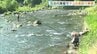 アユの友釣り解禁　解禁待ちわびた釣りファンが竿を操りアユを釣り上げ　広島・三次市　|　RCC NEWS | 広島ニュース | RCC中国放送