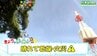 【24日・GW 宮城の天気】概ね晴れて空気の乾いた状態が続く・GWは前半が晴れで3日は雨予報【花粉飛散情報あり】tbc気象台　|　宮城のニュース│tbc NEWS│tbc東北放送
