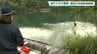 ゲリラ豪雨で河川増水し人が流された想定　四万十川で窪川署と消防が合同訓練　|　高知のニュース・天気｜KUTV NEWS | KUTVテレビ高知