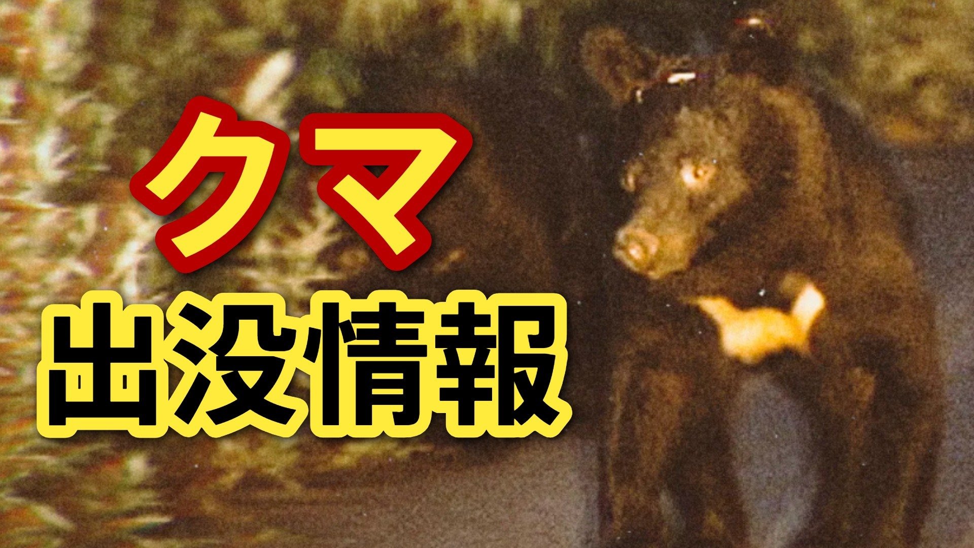 img_7319deb40f6af9e85965d1ed50