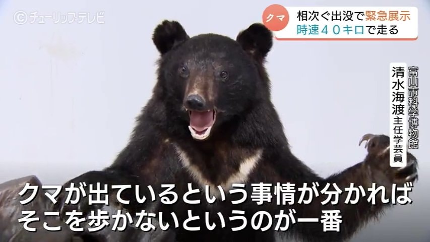 時速40キロ 一晩で10キロ移動 ツキノワグマの生態を知り身を守る緊急