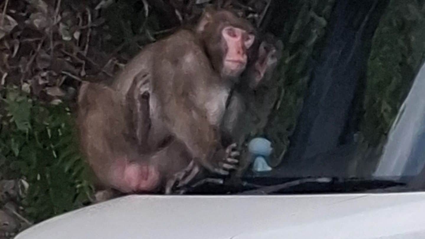 img_736d27f346997d5a0d74436dd9