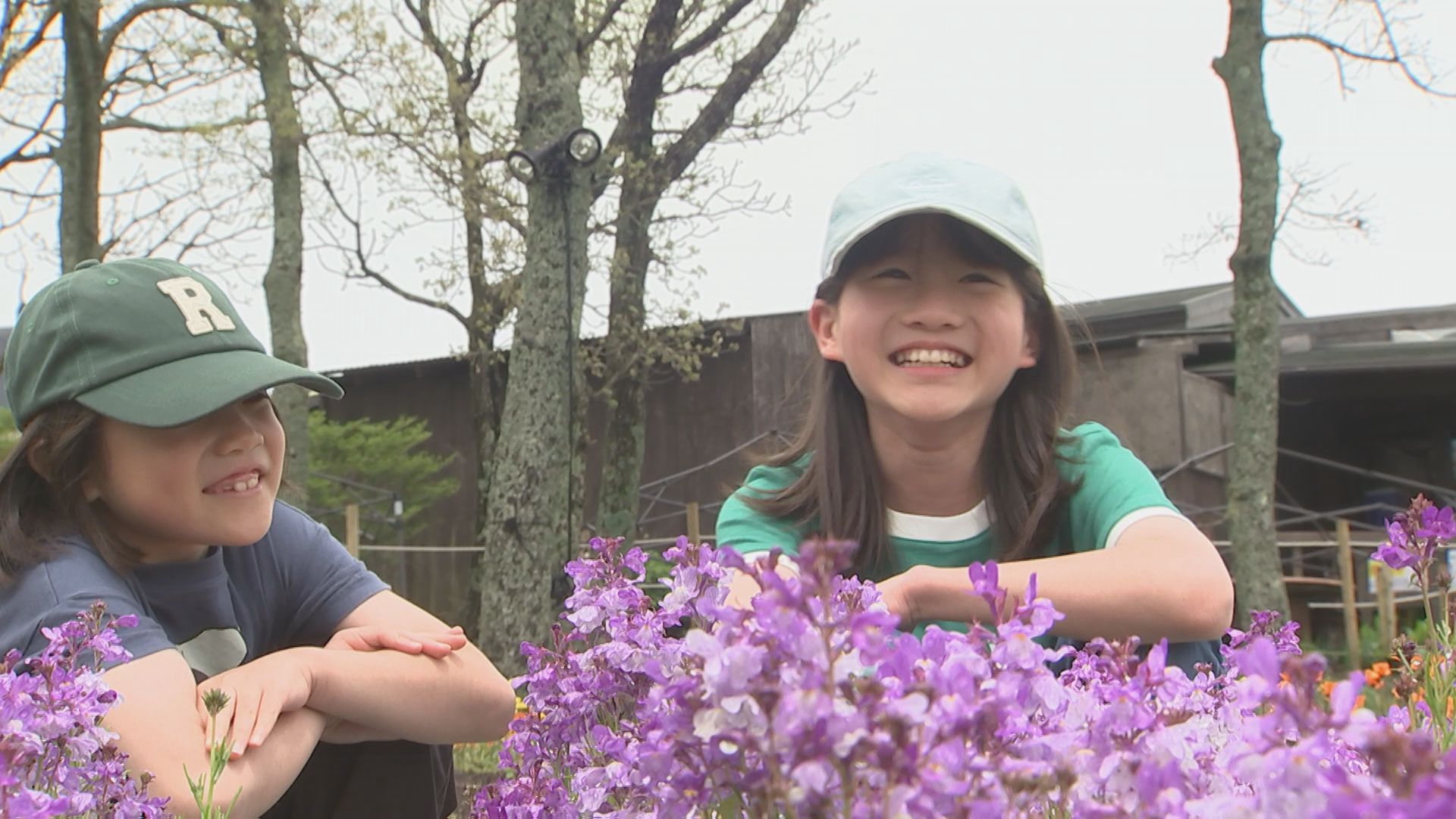 ゴールデンウィークおすすめスポット 「くじゅう花公園」　春の花々がお出迎え　大分・竹田市