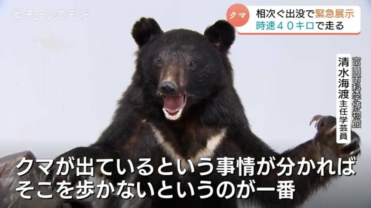 時速40キロ 一晩で10キロ移動 ツキノワグマの生態を知り身を守る緊急