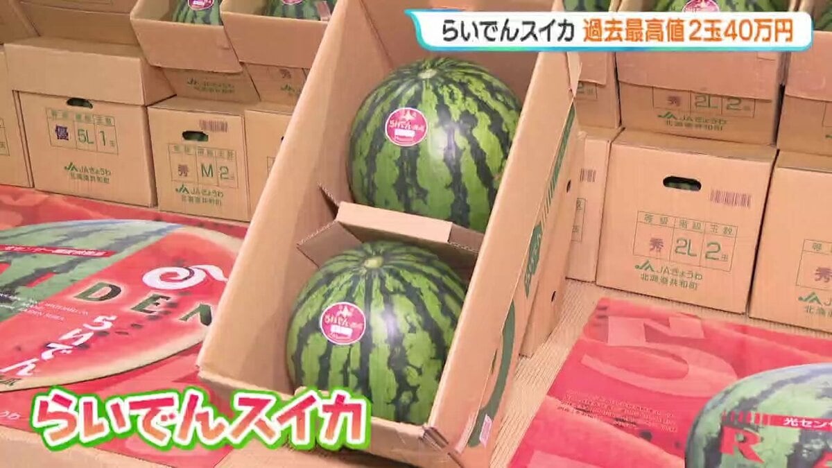 5歳の頃描いたスイカ｜将来価値上昇見込み 2玉40万円の過去最高値『らいでんスイカ』初競り 競り落とした介護会社