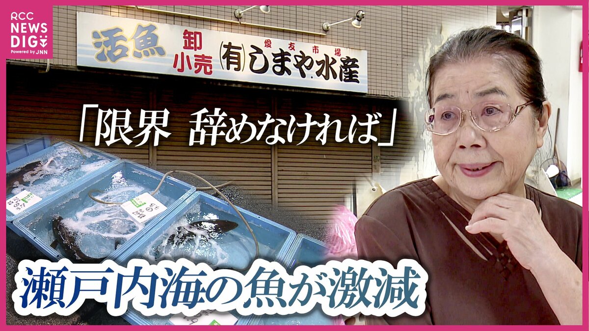 「同じ魚ばかり···もう限界」老舗鮮魚店の看板娘（87）が苦渋の店じまい　市場の…