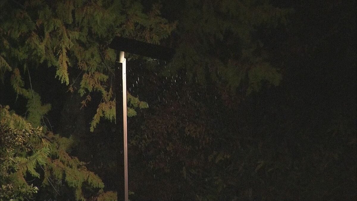 岐阜・高山市街地で平年より１日遅い初雪　19日は積雪ないが来週中ごろに再び降雪か