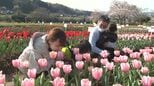 「おがたチューリップフェスタ」始まる　19万本が見頃、フライングドラゴン初登場　大分|TBS NEWS DIG