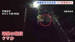 夜の階段を駆け上がるのは…クマ？ 宇都宮市の中心部で相次ぐ目撃情報　6日は住宅街で体長1mほどのクマも　警察や猟友会など警戒続ける|TBS NEWS DIG
