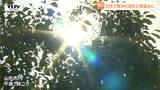 季節先取りの暑さに...今日の県内は最高気温が6月下旬から8月上旬並みに あす以降も気温が高い日が続く見込み(山形) | 山形のニュース│TUYテレビユー山形
