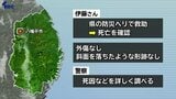 知人と一緒にキノコ採りに出かけていた80代男性が死亡　外傷や滑落の痕跡等なし　岩手・八幡平市　|　IBC NEWS | IBC岩手放送
