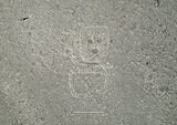 【速報】山形大学 ナスカの地上絵を新たに248点発見 小道沿いに点在、その意味は「物語性」や「メッセージ性」か | 山形のニュース│TUYテレビユー山形