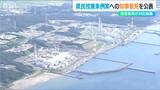 「二者択一の選択肢では県民の多様な意見を把握できない」原発再稼働の是非を問う県民投票条例案に対する意見をホームページに公表　新潟県 花角英世知事|TBS NEWS DIG