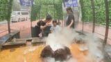 温かい手湯が“ひんやり温泉水”に JR別府駅前に「夏の涼スポット」登場 | 大分のニュース|OBS NEWS|大分放送