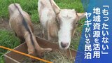 【SDGs】「ヤギは究極のエコ動物」眠っていた地域資源活用 「もったいない」から生まれた民泊|TBS NEWS DIG