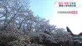 観音ヶ池市民の森（いちき串木野市）から中継・満開　鹿児島|TBS NEWS DIG