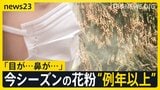 あす春節　賑わう観光地では「目薬とティッシュは必ず…」スギ花粉　東京で飛散開始　一方でインフルB型急増　1シーズンで2度「警報レベル」超え【news23】|TBS NEWS DIG