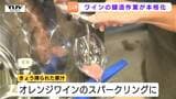 今年はキレがある!ワインの醸造作業が本格化 3トンのデラウェアを皮や種ごとプレス!(山形・上山市) | 山形のニュース│TUYテレビユー山形