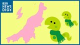 9番目に多い『巳年生まれ』は16万8000人 新潟県|TBS NEWS DIG