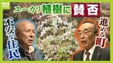ユーカリ植樹に賛否　町の狙いは『放置される森林を買い取り...早く育つユーカリ植えて建材や燃料に』一方で住民は『全国で杉やヒノキは失敗』『生態系への影響は？』|TBS NEWS DIG