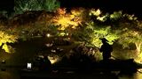 【紅葉シーズン】栗林公園で秋のライトアップ　和船に乗って眺めると時が経つのを忘れそう【香川】　|　岡山・香川のニュース | 天気 | RSK山陽放送