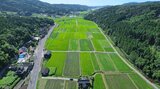 建設業から農業参入…10年でメガファームに成長 躍進の秘訣と新たな挑戦 | 大分のニュース|OBS NEWS|大分放送