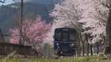 250m続く“桜のトンネル”駅の食堂から眺める春限定の絶景 「特等席、ずっと大切にして」 長良川鉄道・北の終着駅 岐阜|TBS NEWS DIG