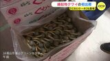 “芽が出る” 縁起物「クワイ」の初出荷 「くわいケーキ」も披露　日本一の産地　広島･福山で　|　RCC NEWS | 広島ニュース | RCC中国放送