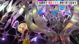 直径7mドーム状の作品も 「備北イルミ」来年1月13日まで 広島・庄原市の国営備北丘陵公園|TBS NEWS DIG