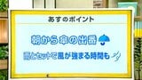 高知の天気　１８日　広い範囲で傘の出番　雨風強まる時間も　山岸拓気象予報士が解説|TBS NEWS DIG