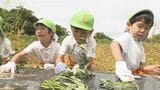 「難しかったけど頑張った」園児がサツマイモの植え付け体験 | 山口のニュース・天気・防災|tys NEWS|tysテレビ山口