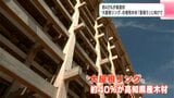 約40%が高知県産材 大阪・関西万博の象徴“大屋根リング”の使用木材「里帰り」に向けて |TBS NEWS DIG