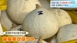 生野銀山の坑道で熟成させた『銀馬車かぼちゃ』 “かぼちゃリレー”で蔵出し「運動会みたいで楽しい」 兵庫・朝来市|TBS NEWS DIG
