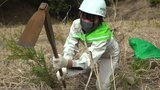 過去4回も山林火災が起きた山で子どもたちが植林活動 約300本の檜の苗植える | 山梨のニュース | UTYテレビ山梨