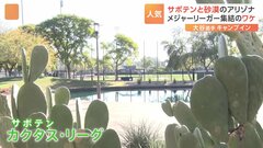 “サボテン”のアリゾナにメジャーリーガー集結のワケ　2月は暑すぎない、日中は寒くない完璧な天気| TBS CROSS DIG with Bloomberg